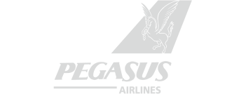 pegasus